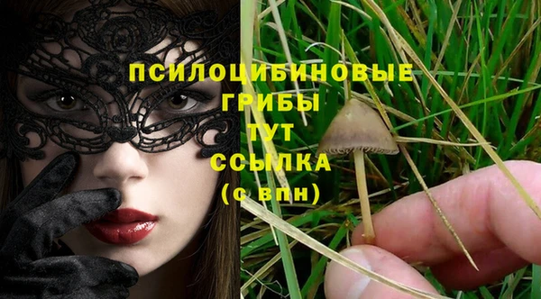 сатива Алзамай