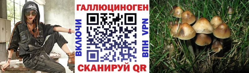 купить наркоту  Берёзовский  kraken ССЫЛКА  Галлюциногенные грибы мицелий 